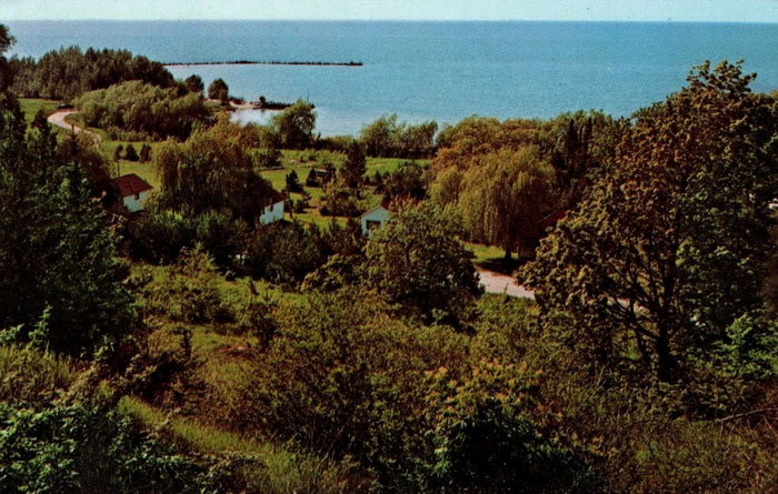 Legs Inn - Vintage Postcard